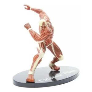 FIGURA ATTACK ON TITAN COLOSAL CON CAJA