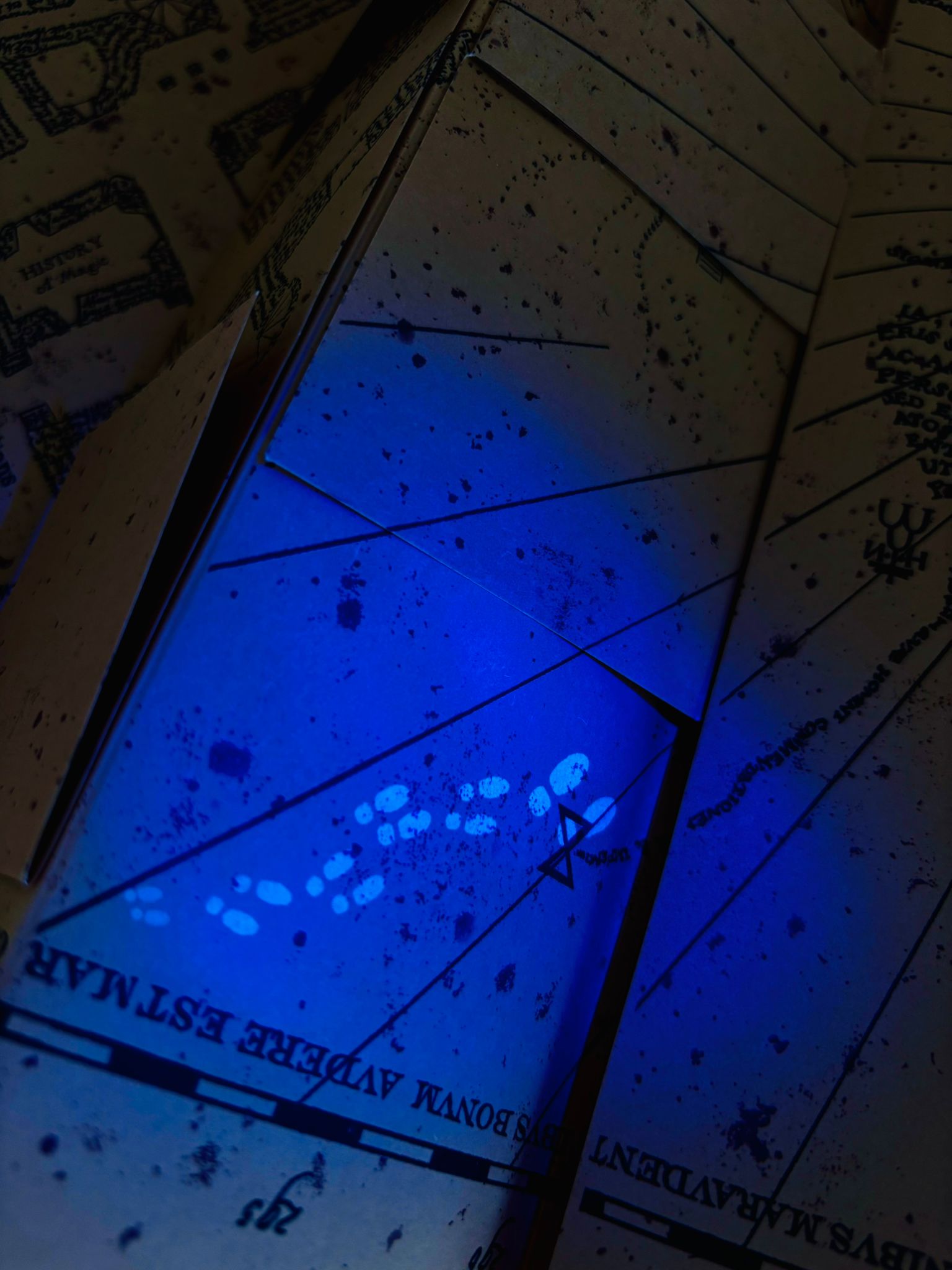 MAPA DEL MERODEADOR HARRY POTTER INTERACTIVO