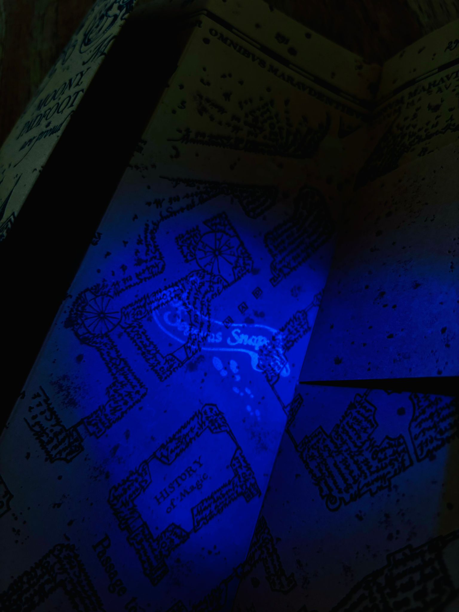 MAPA DEL MERODEADOR HARRY POTTER INTERACTIVO